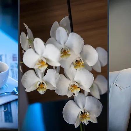 Otel Degli Arcimboldi Milano